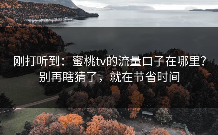 刚打听到：蜜桃tv的流量口子在哪里？别再瞎猜了，就在节省时间