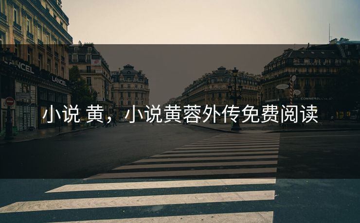 小说 黄,小说黄蓉外传免费阅读 小说 黄,小说黄蓉外传免费阅读